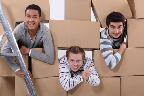 Packed boxes ready for a Battersea flat move