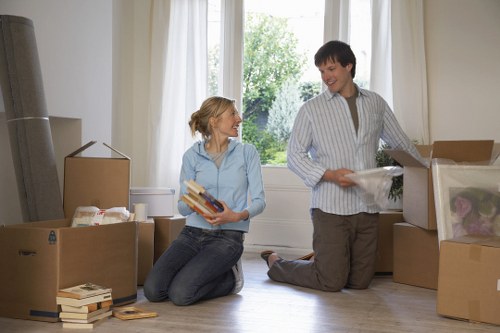 Checklist and packing materials for a Battersea home move